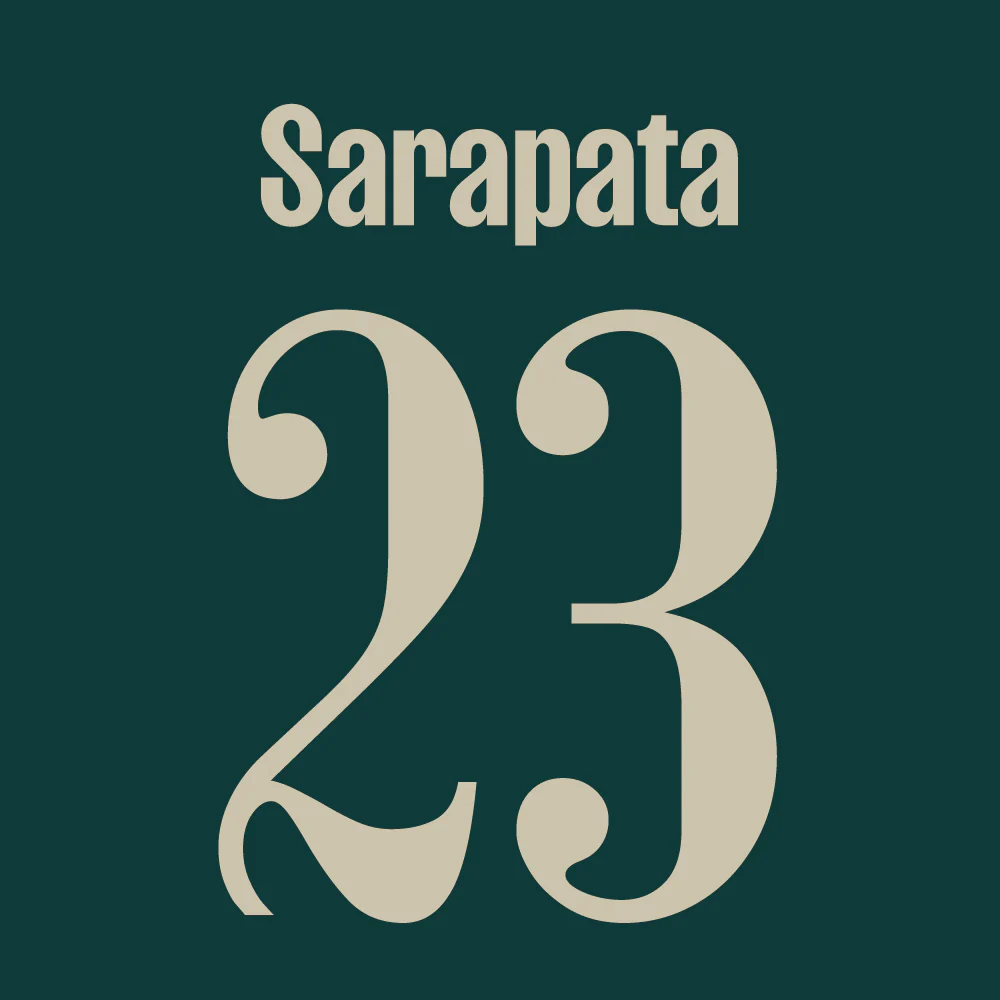 Spillertryk Voksen 3. trøje 24/25 - Image 27